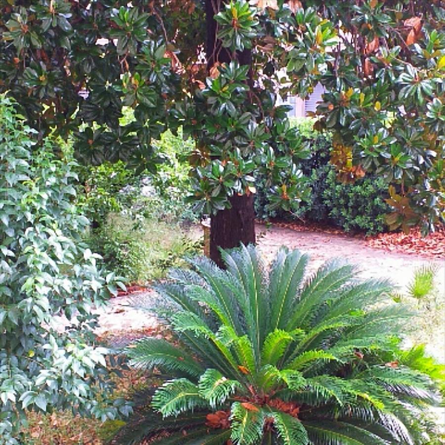 Un Giardino A Due Passi Dal Mare Apartamento La Spezia Exterior foto